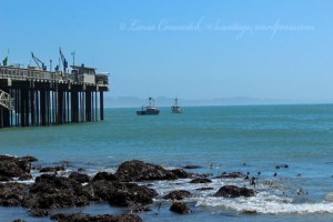 Trinidad State Beach