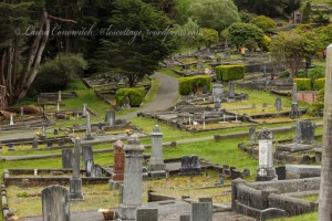 Ferndale Cemetery