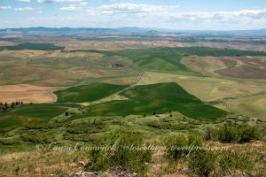 Steptoe Butte