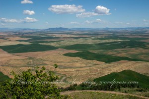 Steptoe Butte