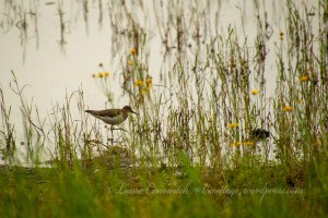 Kettle Falls Recreation