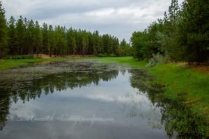 Kettle Falls Recreation