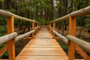 Kettle Falls Recreation