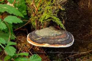 Fort Townsend State Historical Park