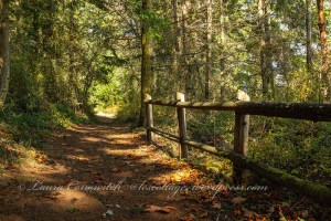 Fort Townsend State Historical Park