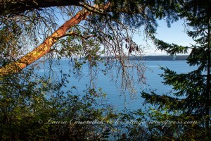 Fort Townsend State Historical Park