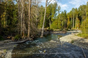Sequim Railroad Bridge Park