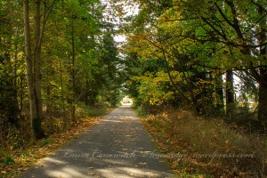 Sequim Railroad Bridge Park