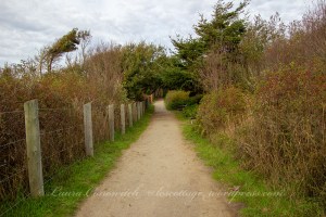 Dungeness Recreation Area