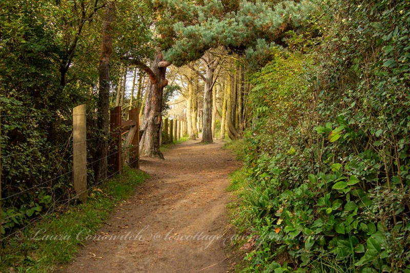 Dungeness Recreation Area