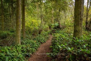 Dungeness Recreation Area