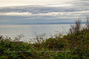 Dungeness Recreation Area