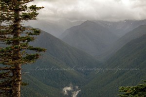 Hurricane Ridge