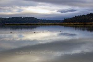 Kennedy Creek Natural Area Preserve