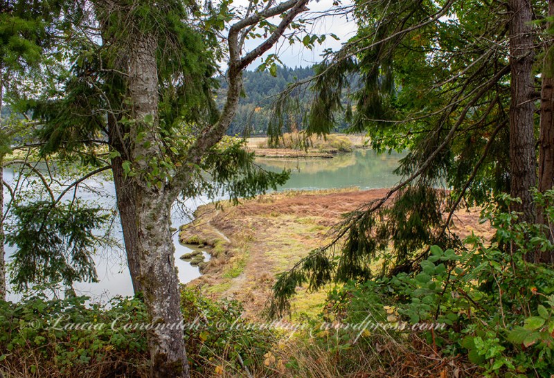 Kennedy Creek Natural Area Preserve
