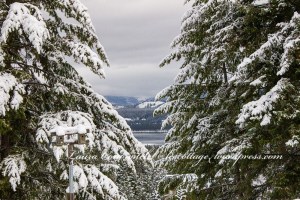 Winter Columbia River