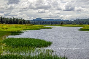 Flowery Trail Road - Chewelah