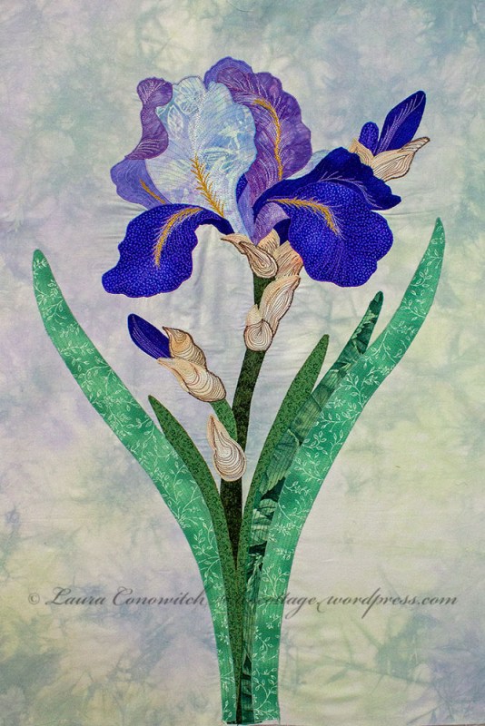 Iris