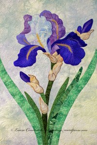 Iris
