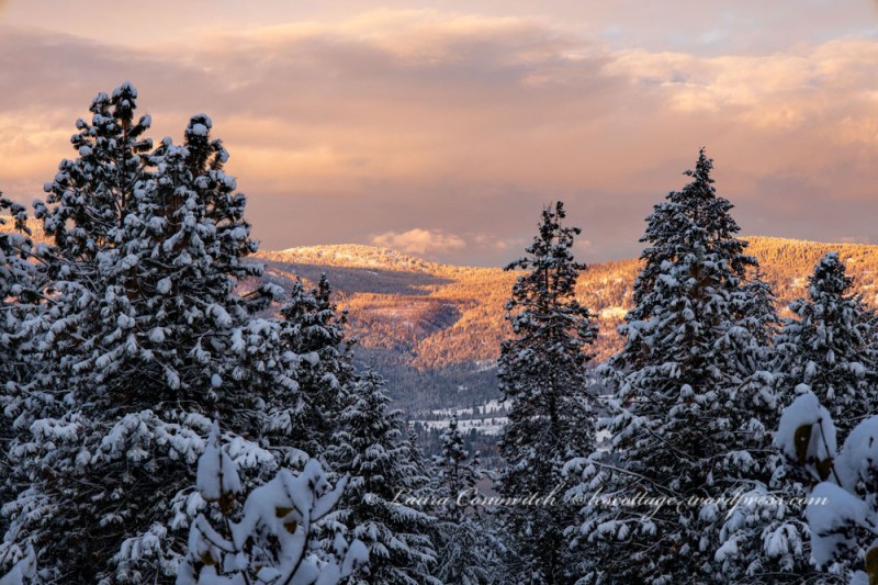 Sunrise after the Snowstorm Winter November2022