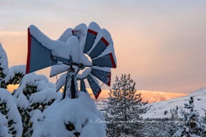Sunrise after the Snowstorm