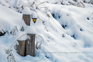 Morning After the Snowstorm