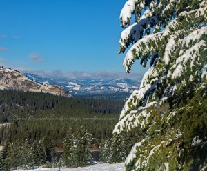Day After the Snowstorm