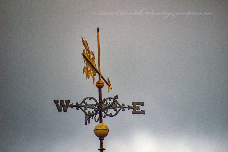 The Pasquotank River Elizabeth City