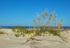 Oregon Inlet Life Saving Station Rodanthe North Carolina