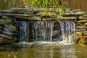 Elizabethan Gardens Manteo North Carolina