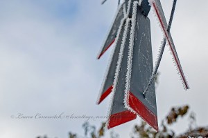 Winter December 2022