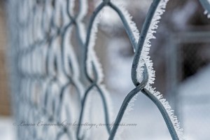 Winter December 2022