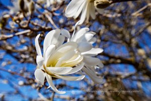 Walk to Wonderwood Park