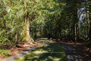 Walk to Wonderwood Park