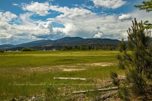 Kettle Falls Recreation Area