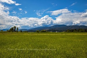 Kettle Falls Recreation Area