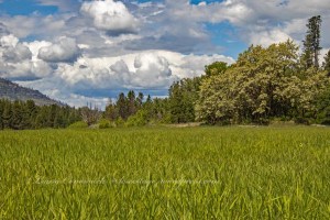 Kettle Falls Recreation Area