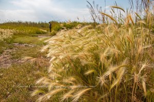 Missouri Headwaters State Park