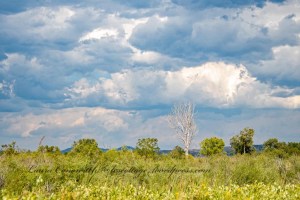 Missouri Headwaters State Park