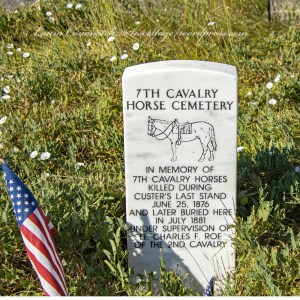 Little Bighorn Battlefield National Monument Park
