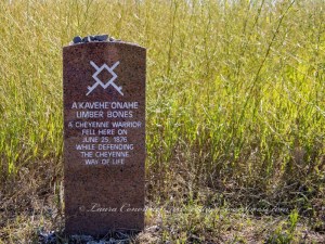 Little Bighorn Battlefield National Monument Park