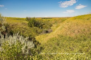 Little Bighorn Battlefield National Monument Park