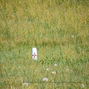 Little Bighorn Battlefield National Monument Park