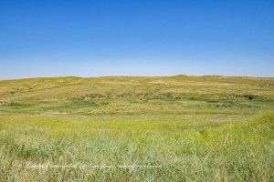 Little Bighorn Battlefield National Monument Park