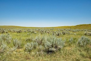 Little Bighorn Battlefield National Monument Park