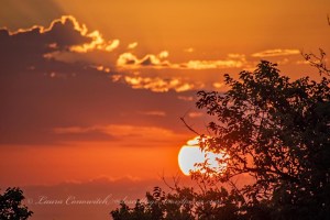 Sunrise Paxico Rest Area Kansas