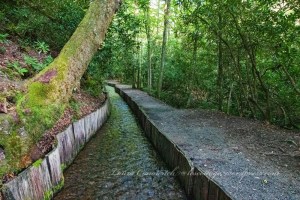 Great Smoky Mountains National Park Mingus Mill