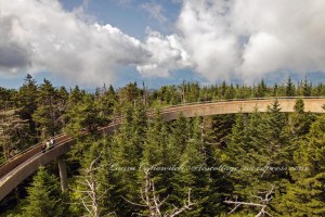 Great Smoky Mountains National Park Clingmans Dome