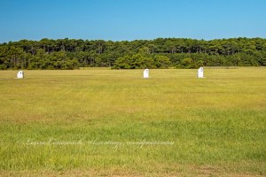 Wright Brothers Memorial National Park