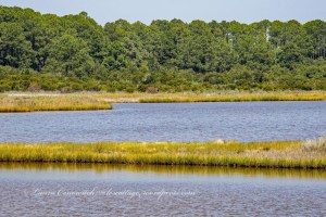 Bodie Island Light Station